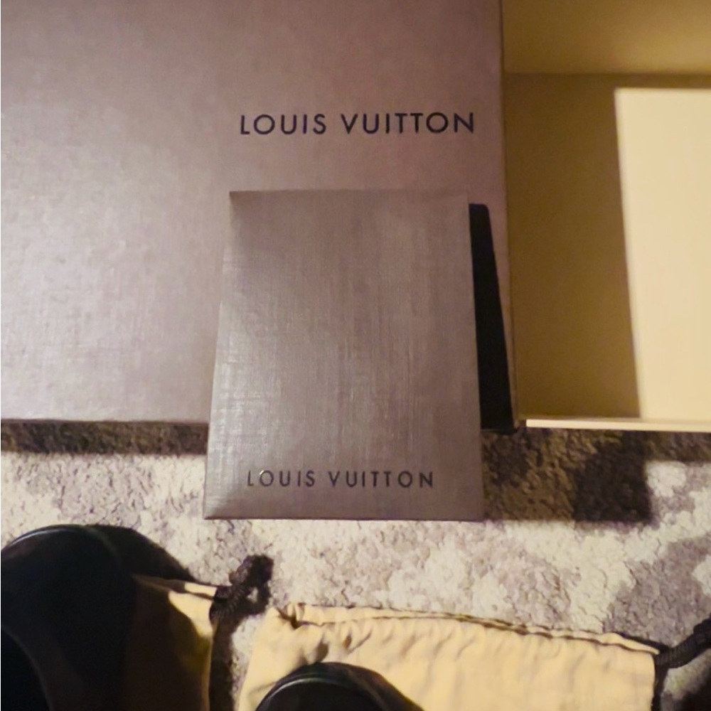 Louis Vuitton Dark Brown Sneakers with Teal Stripe - Picture 6 of 6